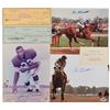 Image 1 : Sports