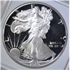 Image 2 : 1989-S AMERICAN SILVER EAGLE  NGP PROOF PERFECT GE