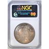 Image 4 : 1882 MORGAN DOLLAR  NGC MS-64