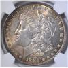 Image 2 : 1886 MORGAN DOLLAR   NGC MS-63