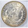 Image 3 : 1880-O MORGAN DOLLAR ICG MS-64+