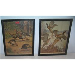 Pair of wild game prints