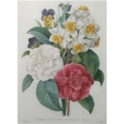 After Pierre-Jospeh Redoute, Floral Print, #13 Bouquet de Camelias, Narcisses et Pensees