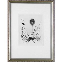 George Elbert Burr, Etching