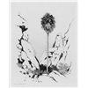 Image 2 : George Elbert Burr, Etching