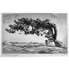 Image 1 : Lyman Byxbe, Etching