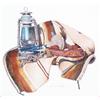 Image 2 : Mimi Mather, Watercolor