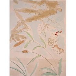 DALI Color Etching Surrealism Spanish