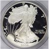 Image 1 : 2006-W AMERICAN SILVER EAGLE