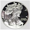 Image 1 : 2004-W AMERICAN SILVER EAGLE