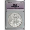 Image 3 : 2007-W AMERICAN SILVER EAGLE