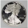 Image 1 : 1989 AMERICAN SILVER EAGLE