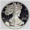 Image 1 : 1991 AMERICAN SILVER EAGLE