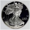 Image 1 : 1993 AMERICAN SILVER EAGLE