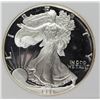 Image 1 : 1994 AMERICAN SILVER EAGLE