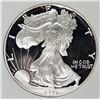 Image 1 : 1995 AMERICAN SILVER EAGLE