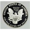 Image 2 : 1995 AMERICAN SILVER EAGLE