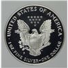 Image 2 : 1996 AMERICAN SILVER EAGLE