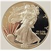 Image 1 : 2001 AMERICAN SILVER EAGLE