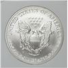 Image 2 : 2007-W AMERICAN SILVER EAGLE