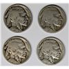 Image 1 : BUFFALO NICKEL LOT: