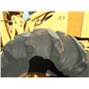 Image 11 : TIGERCAT 720G FELLER BUNCHER, VIN/SN:7205644 - TIGERCAT SAW HEAD, CAB, A/C, 28L-26 TIRES