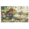 Image 2 : Terrence Andrews Canadian Signed Print 298/490