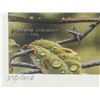 Image 3 : Terrence Andrews Canadian Signed Print 298/490