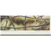 Image 4 : Terrence Andrews Canadian Signed Print 298/490