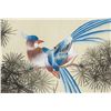 Image 3 : Shujuan 20th. C Chinese Watercolor Birds Scroll