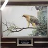 Image 2 : "RED TAILED HAWK ON MOUNT NEMO" BY ROBERT BATEMAN #25115