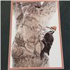 Image 2 : "PILEATED WOODPECKER ON BEACH TREE"  BY ROBERT BATEMAN #25133