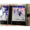 Image 3 : FRAMED 1992 STANLEY CUP CHAMPIONS LEMIEUX AND JAGR LIMITED EDITION 257/1000