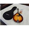 Image 1 : NEW DENVER MANDOLIN