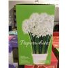 Image 2 : Holland Complete Indoor Grow Kit Amaryllis/Paperwhite Bulbs (12ct)