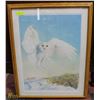 Image 1 : FRAMED ART "SNOWY OWL" BY GLEN LOATES 1986