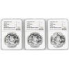 Image 1 : Set of (3) 1996 Large Date China 10 Yuan Silver Panda Coins NGC MS66/MS64