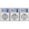 Image 1 : Lot of 1982Mo/1983Mo/1985Mo Mexico Libertad Onza Silver Coins NGC MS66