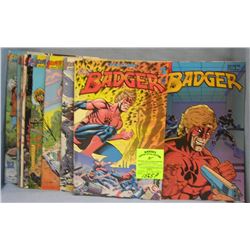 Large Group of vintage Badger comic books