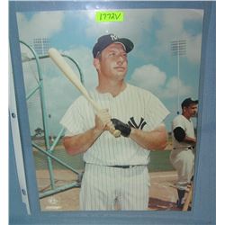 Mickey Mantle 8X10 color photo
