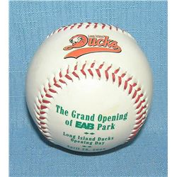 Long Island Ducks baseball team baseball