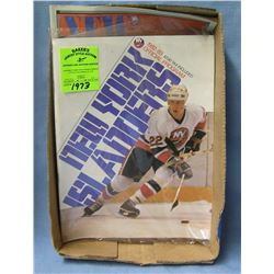 Box of vintage hockey programs