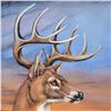 Image 2 : "Stunning Stag" Limited Edition Giclee on Canvas by Martin Katon (24" x 36"), Numbered and Hand Sign