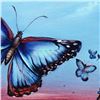 Image 2 : "Morpho Butterflies" Limited Edition Giclee on Canvas by Martin Katon, Numbered and Hand Signed. Thi