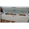 Image 3 : Chest deep freezer 75"W x 28"D (contents not included)