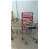 Image 2 : Lot of 3 shopping carts
