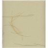 Image 2 : John F. Kennedy's Lock of Hair