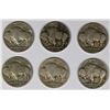 Image 2 : BUFFALO NICKEL LOT: