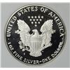 Image 2 : 1987 AMERICAN SILVER EAGLES