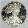 Image 1 : 1988 AMERICAN SILVER EAGLE